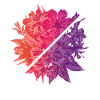 Flowers & Rainbow Diagonal