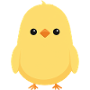 chick