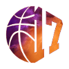 NUMBER 17 BASKETBALL 17TH BIRTHDAY