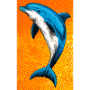 dolphin