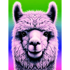 Alpaca