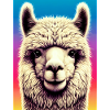 Alpaca
