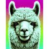 Alpaca