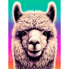 Alpaca