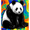 panda