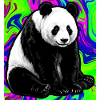 panda