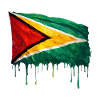 Guyana Flag Drop Art