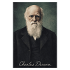 Charles Darwin Portrait