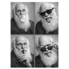 Charles Darwin photo strip