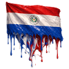 Paraguay Flag Drop Art