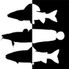 Grayling region