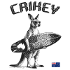 Crickey Kangaroo Australia Surfing