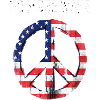 Peace USA Flag Against War