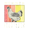 Hühner Flüsterer