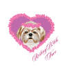 Resting B!tch Face Shih Tzu