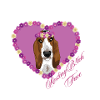 Resting B!tch Face Basset Hound