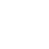 Paranormal Investigator