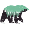 Bear Forest Nature
