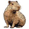Capybara