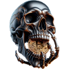 Bitcoin Skull Dark Crypto Design