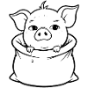 Cuddly piggy out of the bag