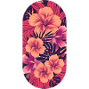 Tropische Hibiskus Farbexplosion