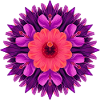 Flower Mandala in Purple Orange