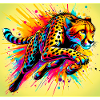 cheetah