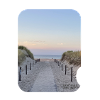 Dune path by the sea sunset