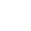 Veni Vidi Vici Bold Phrase