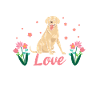 J’adore les labradors