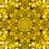 Yellow mandala radial pattern
