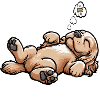 Hundemüde Cocker Spaniel Cockerhund Cockerbesitzer