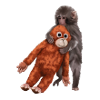 Punch Punch-Kun - Monkey