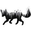 Fox & Forest