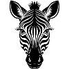 Zebra face
