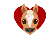 J’adore le cœur Haflinger