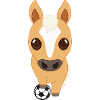 Soccer Horse Cartoon