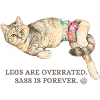 Legs Are Overrated Cat Sass