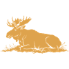 Élan