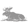 Élan