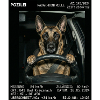 Malinois Hund Geblitzt