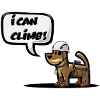 I CAN CLIMB!