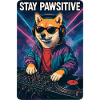 Shiba Inu DJ Stay Pawsitive Streetwear Club