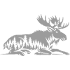 Élan