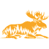 Élan