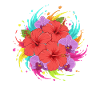 Hibiskus Farbenexplosion