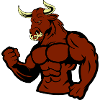 Muscular Bull Taurus