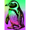pingouin