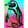 penguin